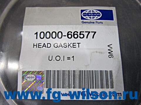 Прокладка головки блока цилиндров / HEAD GASKET FL6A-X1EF-6.5A1 АРТ: 10000-66577