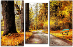 Модульная картина "Осенняя тропа"