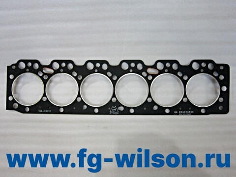 Прокладка головки блока цилиндров / HEAD GASKET FL6A-X1EF-6.5A1 АРТ: 10000-66577