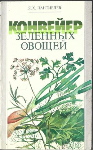 Конвейер зеленых овощей