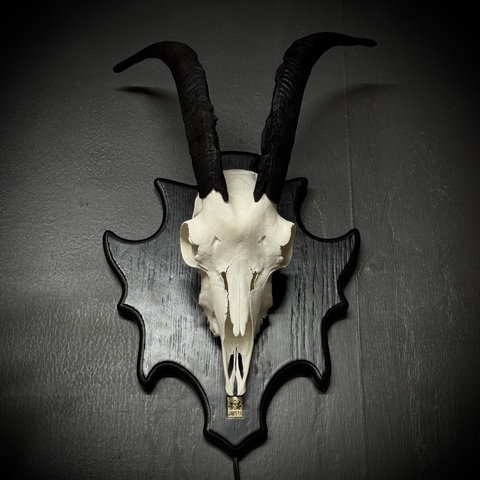 Череп козла на медальоне - ночник