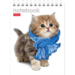 Блокнот А6 40л 