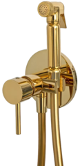 REMER X65DO Гигиенический душ со смесителем скрытого монтажа (душевой шланг и скрытая часть в комплекте) x-style фото