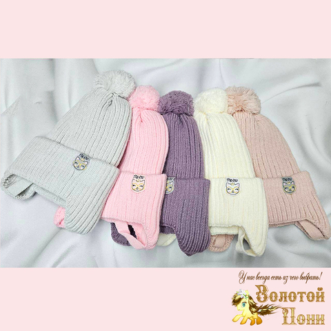 Шапка на хлопке д (5-8) 251019-Ш4088