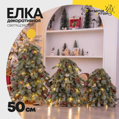 
          елка 50см декоративная со светодиодами (зеленый)
