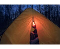 Armytek Bear WRG F09901C