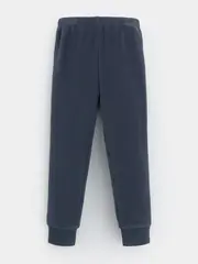 брюки  для девочки  ФЛ 40006-1/7 ГР