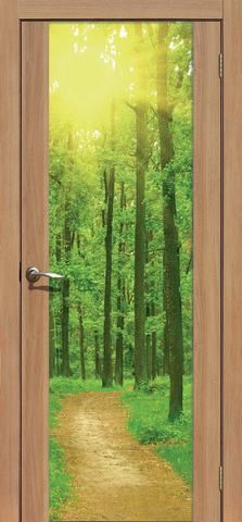 Дверь La Stella 303 фотопечать с одной стороны (Утро в лесу), фотопечать с одной стороны, цвет дуб сантьяго, остекленная