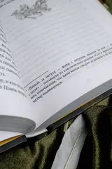 Светлый пепел луны. Книга 2