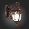 Светильник уличный ST Luce Chiani SL083.701.01