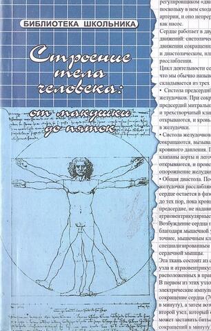 Строение тела человека: от макушки до пяток