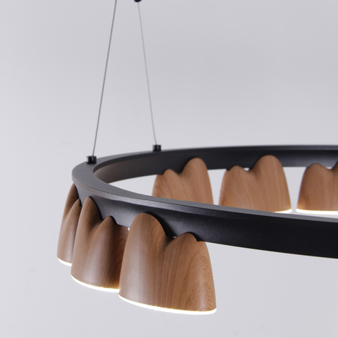 Подвесная светодиодная люстра Favourite Interline 4266-12P