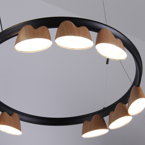 Подвесная светодиодная люстра Favourite Interline 4266-12P