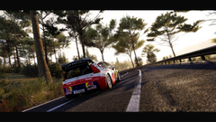 WRC Generations - Citroën C4 WRC 2010 (для ПК, цифровой код доступа)