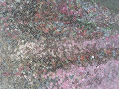 ПАЙЕТКИ НА СЕТКЕ 