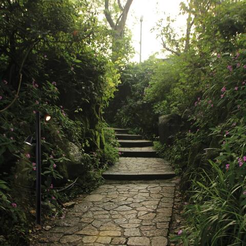 Ландшафтный светодиодный светильник Favourite Bio 4744-1F