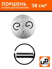 Поршень в сборе UNITED PARTS для бензопил 38 куб.см. d39мм (3800) (90-0049)