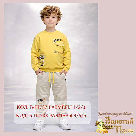 Костюм мальчику (1-3/4-6) 260201-TR1178