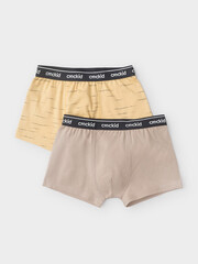 набор трусы/ уп  для мальчика  К 1967-2уп/светлая мимоза,темно-бежевый Ал