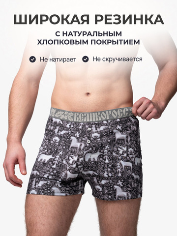 Комплект из 3-х семейных трусов - «Ночная тайга»