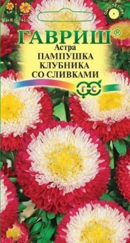 Астра Пампушка клубника со сливками 0,3 г, (помпонная)