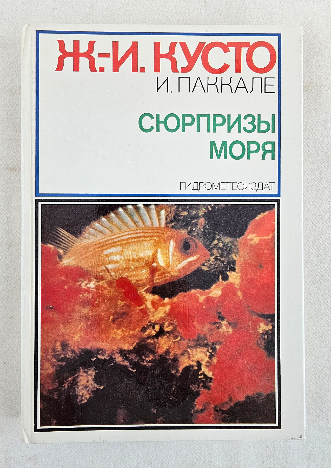 сюрпризы моря. сюрпризы моря. фотографии на борту калипсо кусто. сюрпризы моря. сюрпризы моря.