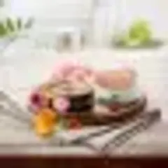 ENSO консервы для взрослых кошек паштет с курицей и брусникой 100 гр