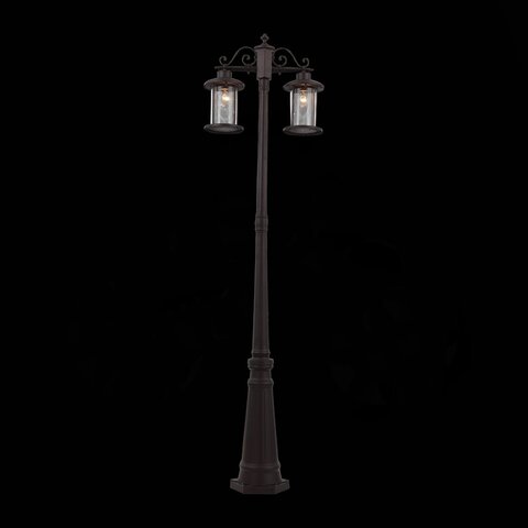 Светильник уличный ST Luce Lastero SL080.425.02