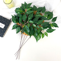 Листья Фикуса, искусственный букет, Зеленый 51 см, листочки 4,5 - 10 см, набор 5 веток