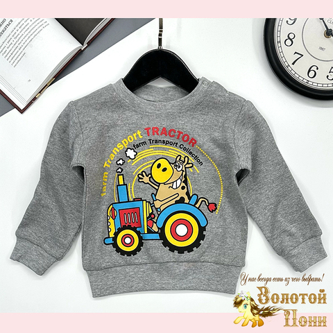 Джемпер хлопок м (1-4) 251106-GV221