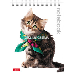 Блокнот А6 40л 