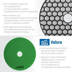 ЗУБР 100 мм, №800, сухое шлифование, алмазный гибкий шлифовальный круг АГШК, Профессионал (29868-800)