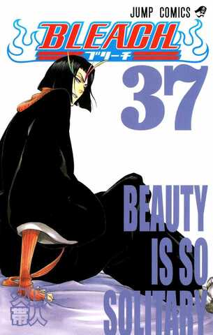 Bleach Vol 37 (на японском языке)