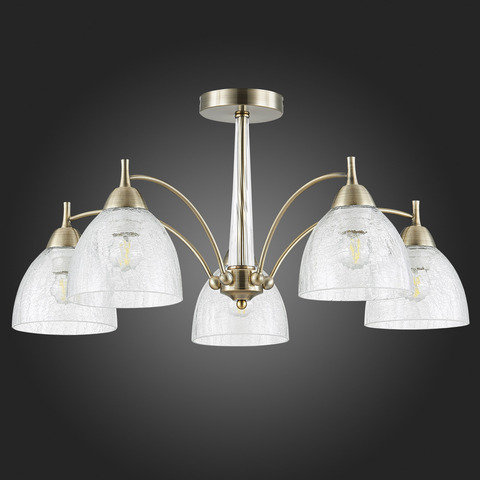 Люстра потолочная Evoluce Nuele SLE104402-05