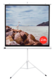 Экран для проектора S'OK SCPST-220x220 123'' 1:1 напольный, на треноге, матовый, белый