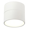 Светильник потолочный ST Luce ST651.502.01