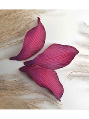 Молды пластиковые С-17 