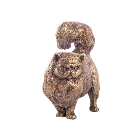 Персидская кошка