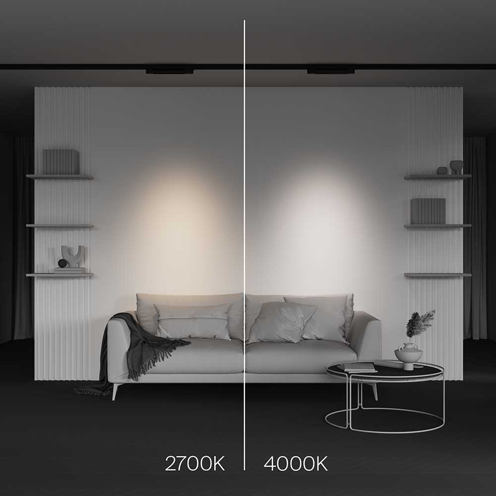 Трековый светодиодный светильник Maytoni Technical Points TR195-3-10W2.7K-M-B