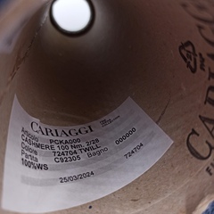 Кашемир Cashmere 100 Cariaggi 1400м/100гр 724704 Twill