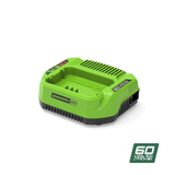 Зарядное устройство Greenworks 60V 2A G60UC