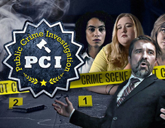 PCI Public Crime Investigation (для ПК, цифровой код доступа)