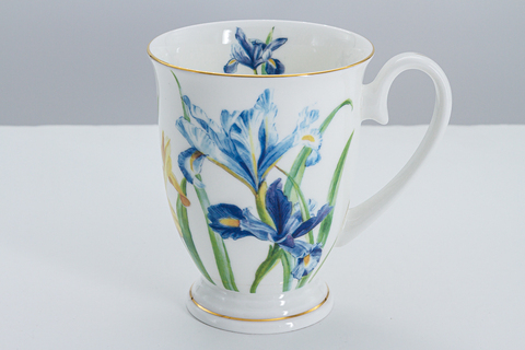 Кружка 280мл Anna Lafarg Stechcol Ирисы