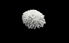 Силиконовый молд 