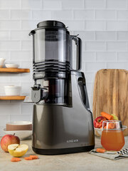 Соковыжималка KING MIX B-300