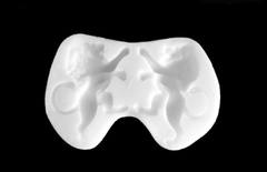 Силиконовый молд № 1064 Львы 2 в 1