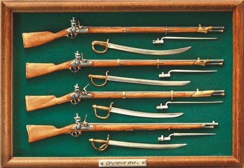 Napoleon wars rifles