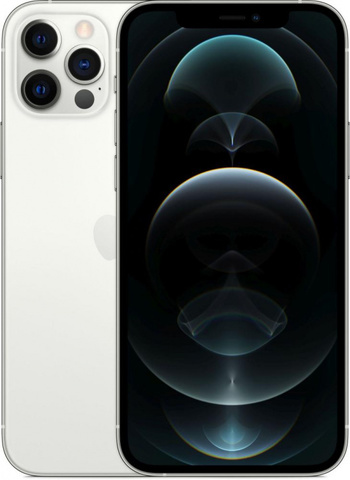 Apple iPhone 12 Pro Max 256GB (Серебристый)