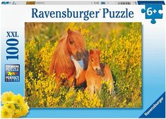 Puzzle Shetland Pony         100