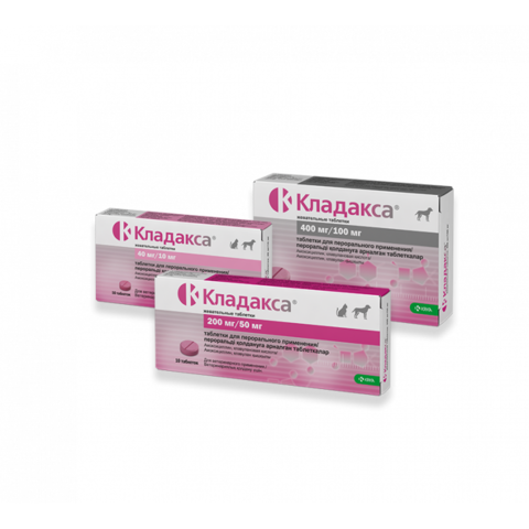 Кладакса 500 мг (400 мг/100 мг) 12 жевательных таблеток